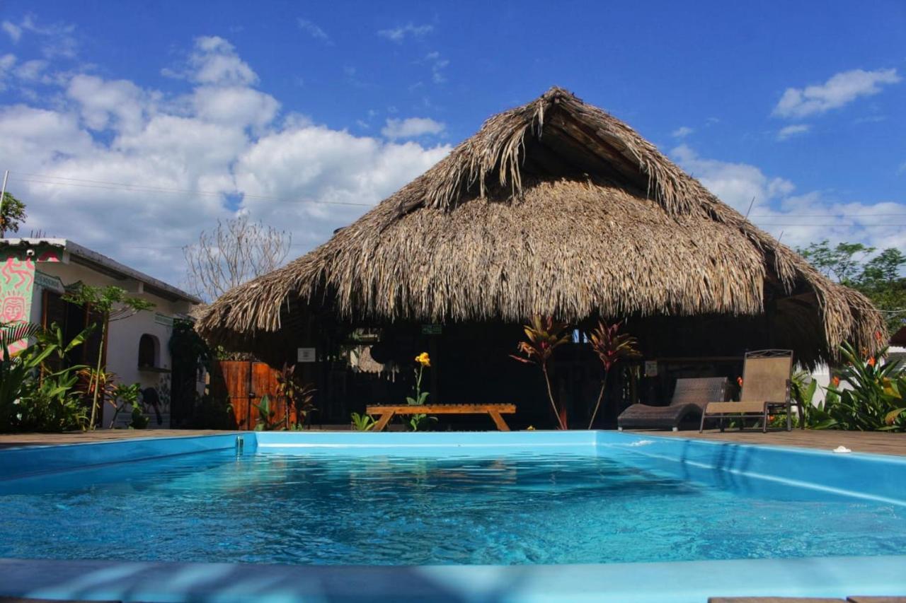 Kaluta Hostel Palomino Ngoại thất bức ảnh