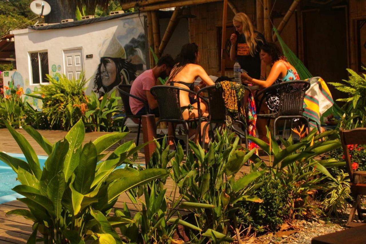 Kaluta Hostel Palomino Ngoại thất bức ảnh