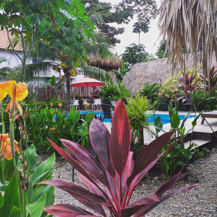 Kaluta Hostel Palomino Ngoại thất bức ảnh