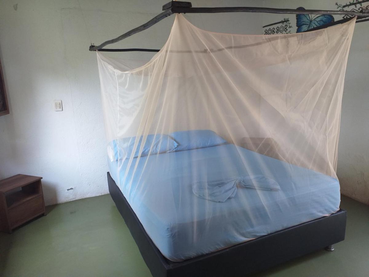 Kaluta Hostel Palomino Ngoại thất bức ảnh
