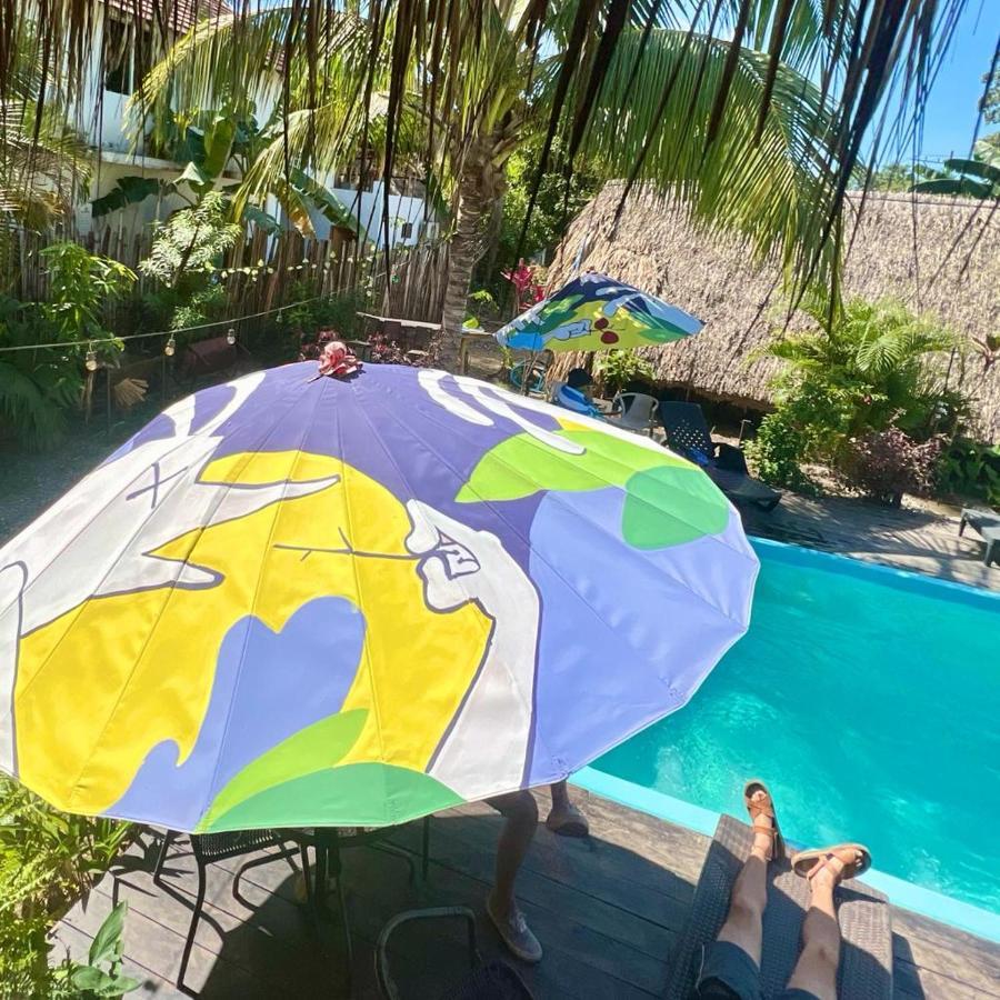 Kaluta Hostel Palomino Ngoại thất bức ảnh