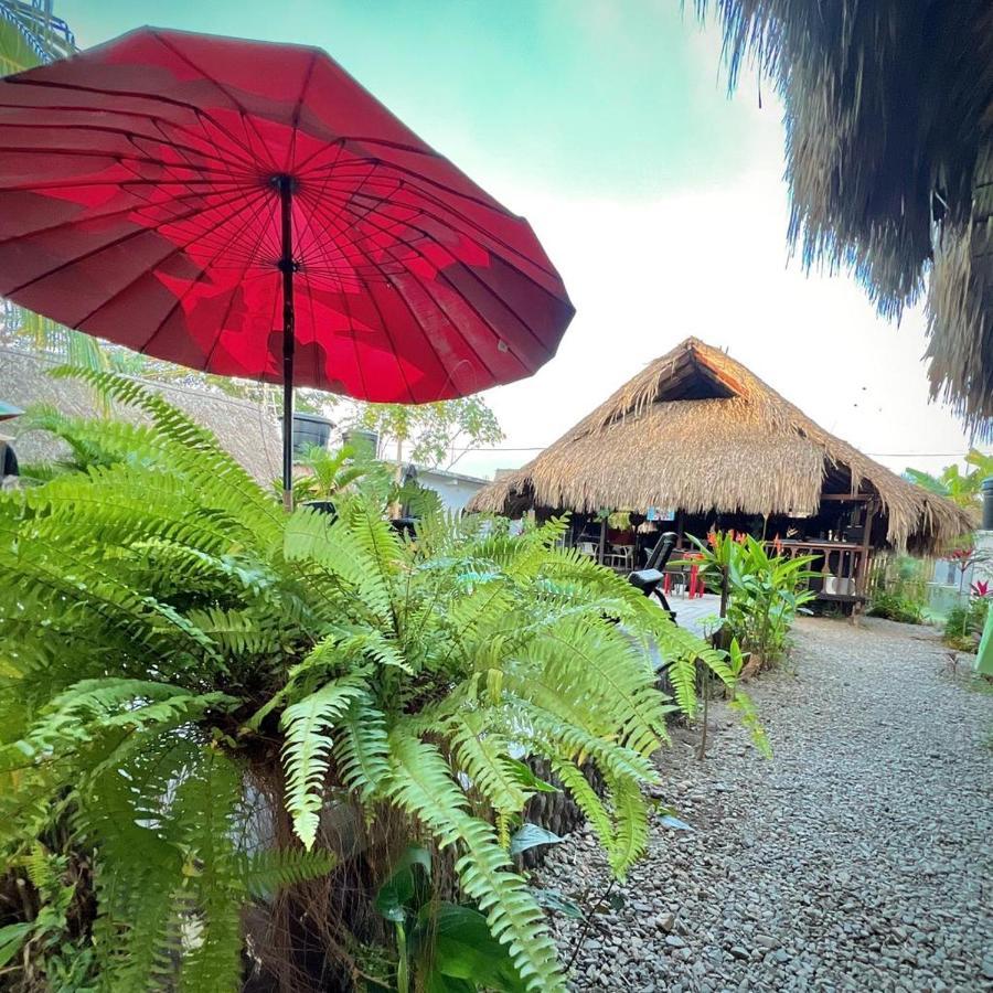 Kaluta Hostel Palomino Ngoại thất bức ảnh