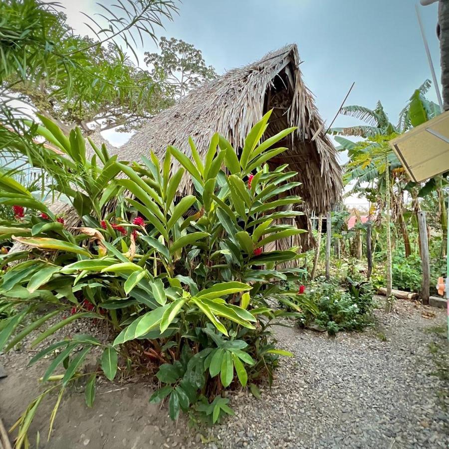 Kaluta Hostel Palomino Ngoại thất bức ảnh