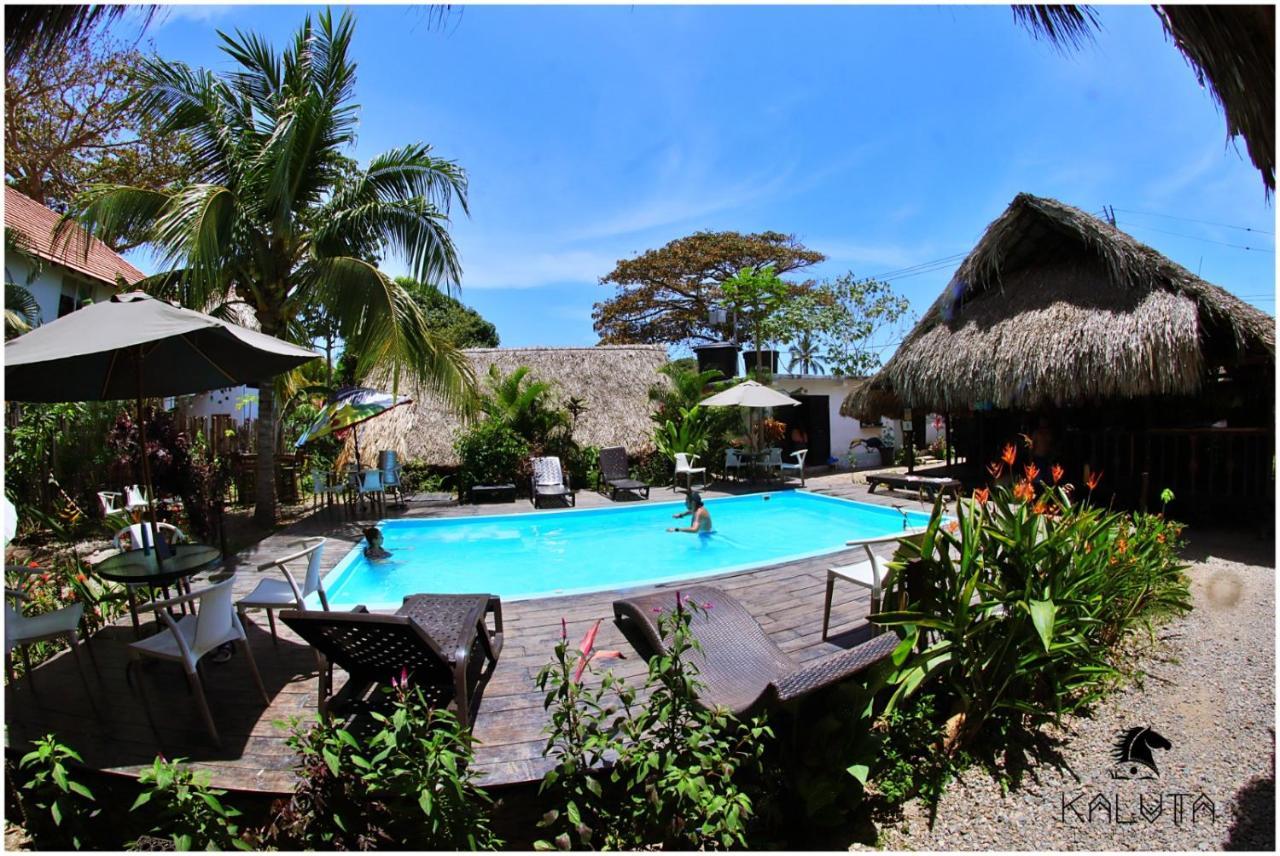 Kaluta Hostel Palomino Ngoại thất bức ảnh