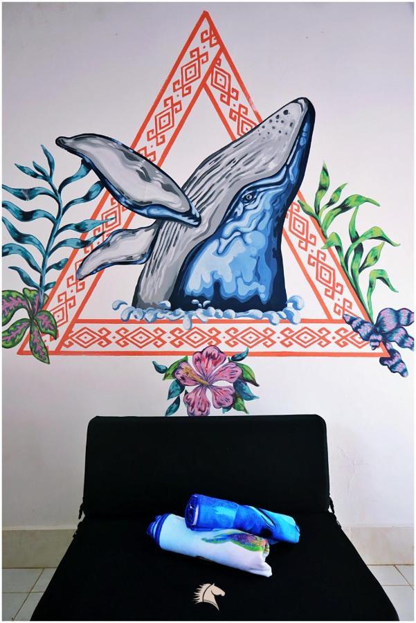 Kaluta Hostel Palomino Ngoại thất bức ảnh