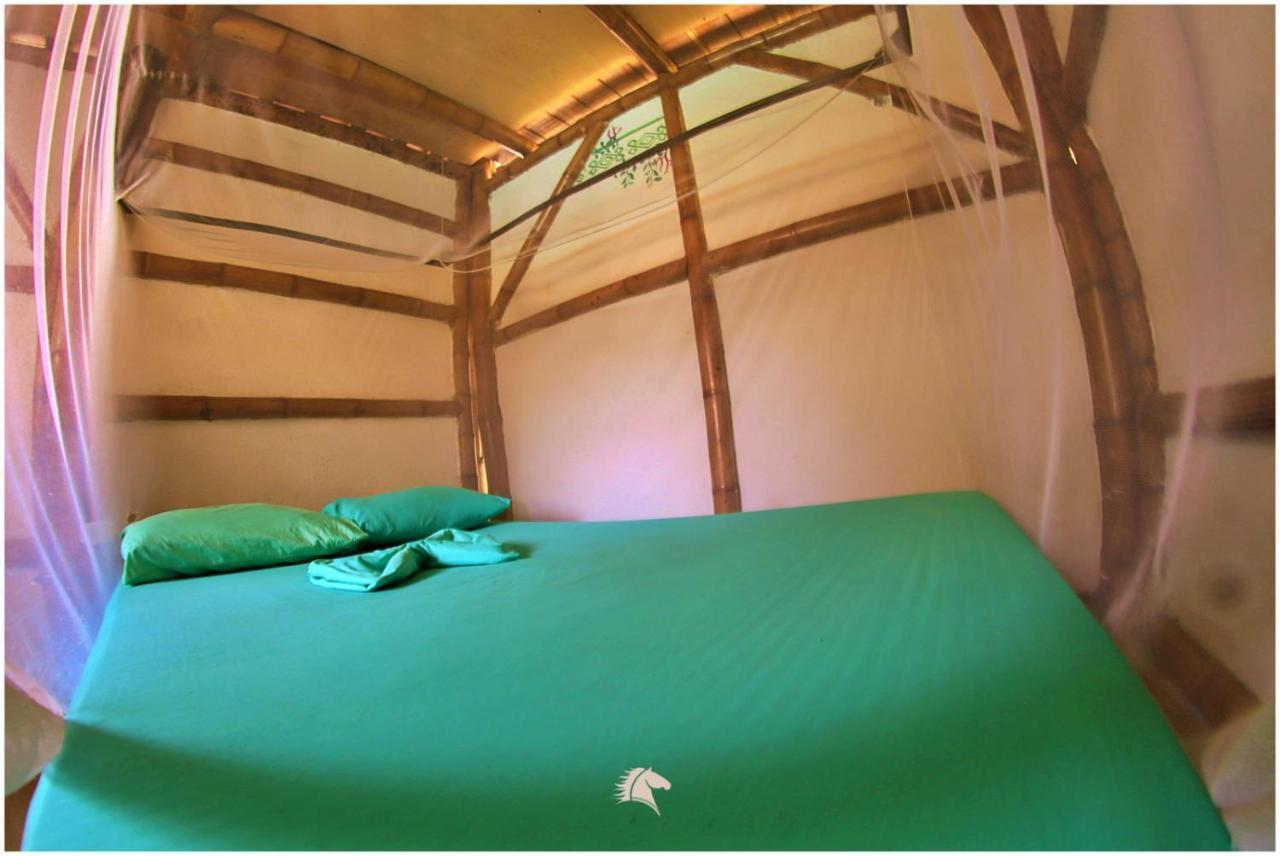 Kaluta Hostel Palomino Ngoại thất bức ảnh