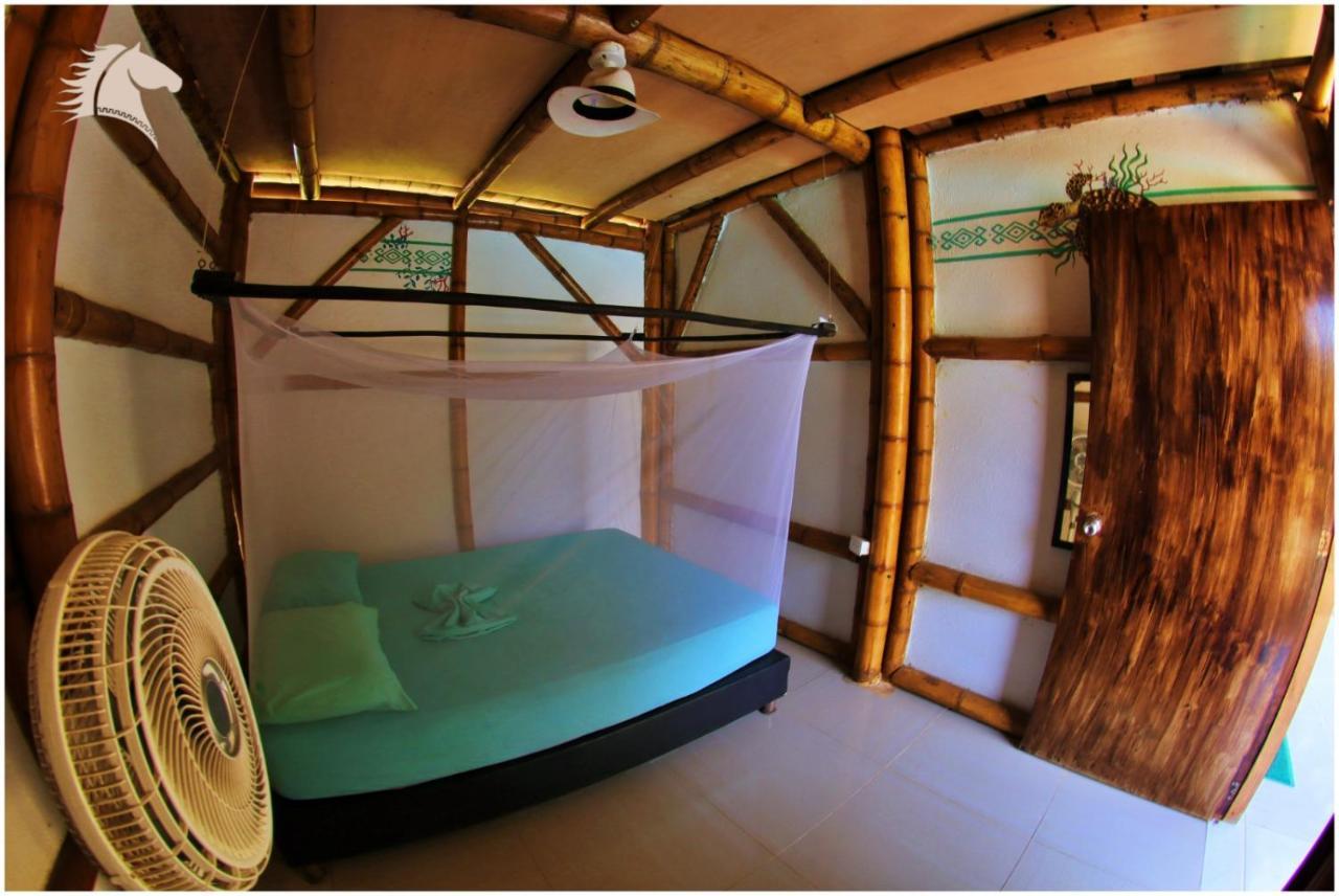 Kaluta Hostel Palomino Ngoại thất bức ảnh