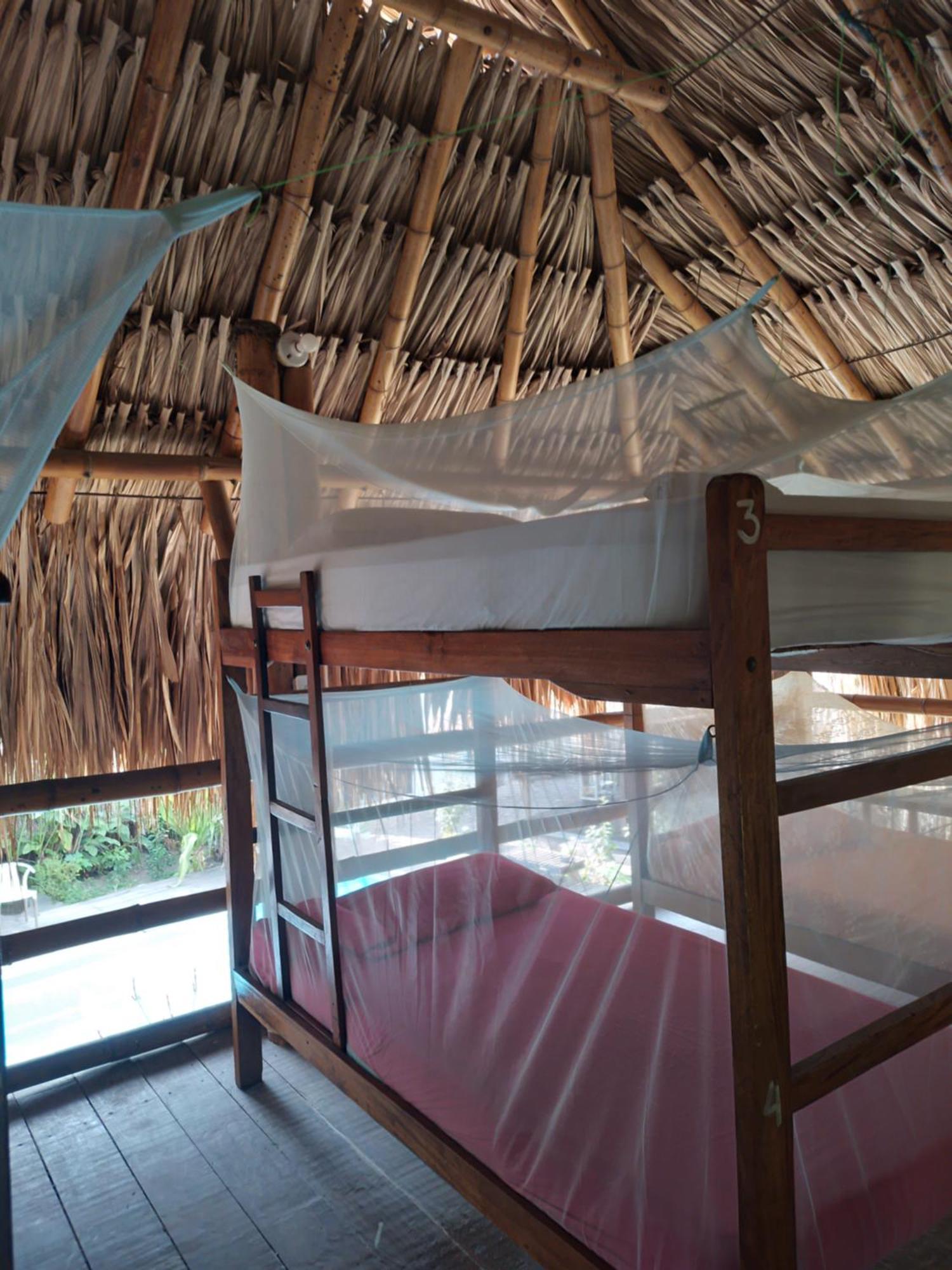 Kaluta Hostel Palomino Ngoại thất bức ảnh