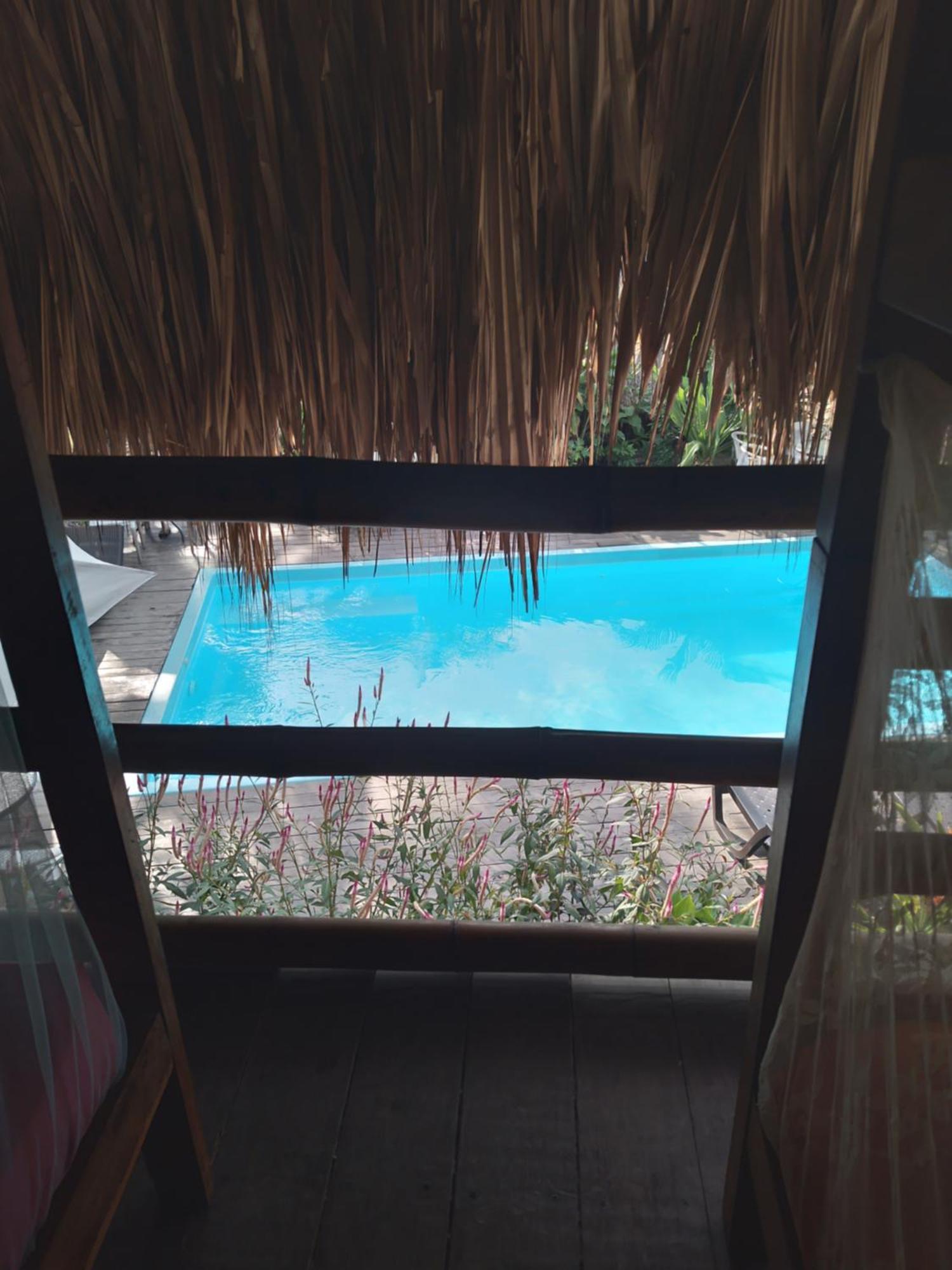 Kaluta Hostel Palomino Ngoại thất bức ảnh