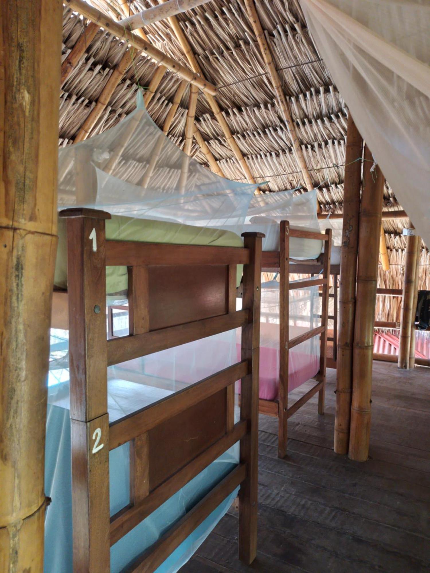 Kaluta Hostel Palomino Ngoại thất bức ảnh