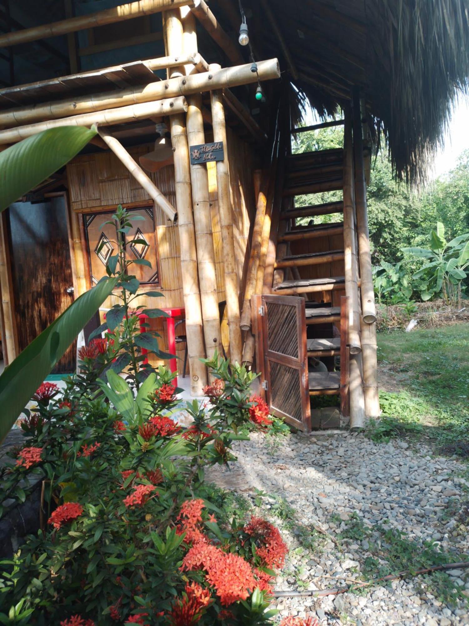 Kaluta Hostel Palomino Ngoại thất bức ảnh