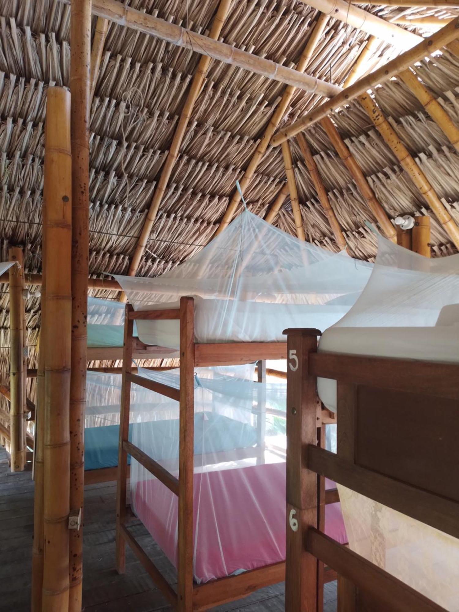 Kaluta Hostel Palomino Ngoại thất bức ảnh